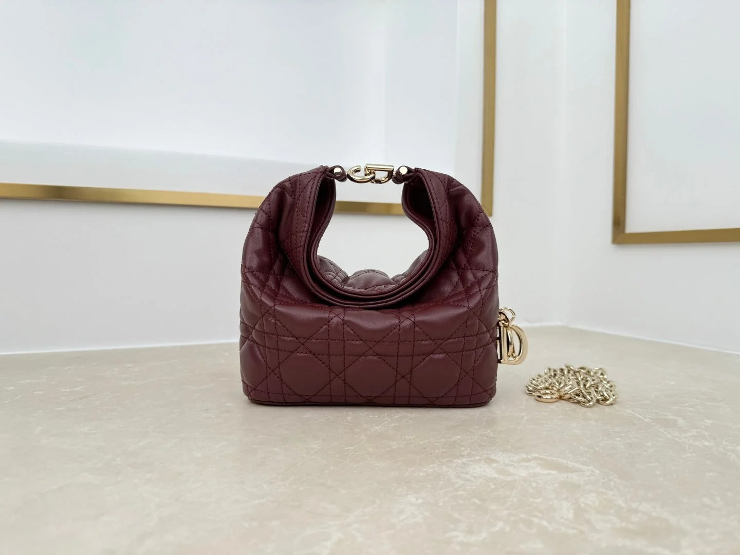 Dior 2026 Toujours Hobo Bag Lambskin